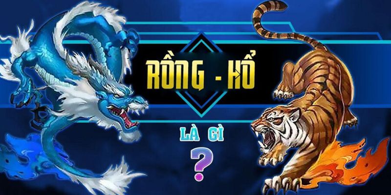 Chiến thuật nâng cao trong Rồng Hổ