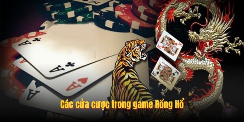 Mẹo chơi Rồng Hổ hiệu quả
